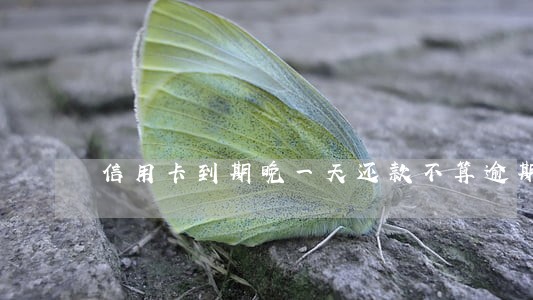 信用卡到期晚一天还款不算逾期吗 信用卡到期晚一天还款不算逾期吗