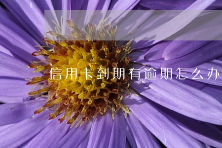 信用卡到期有逾期怎么办 信用卡到期有逾期怎么办
