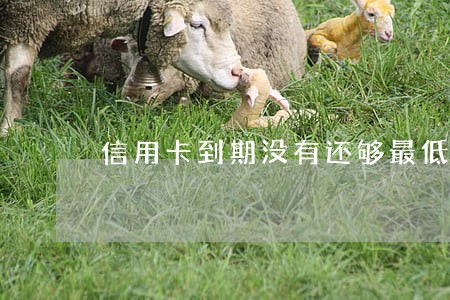 信用卡到期没有还够最低算逾期吗 信用卡到期没有还够最低算逾期吗