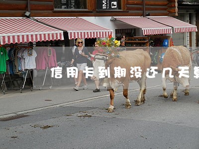 信用卡到期没还几天算逾期 信用卡到期没还几天算逾期