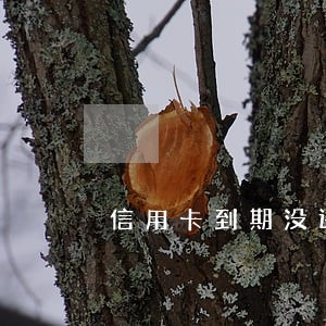 信用卡到期没还能逾期多久 信用卡到期没还能逾期多久