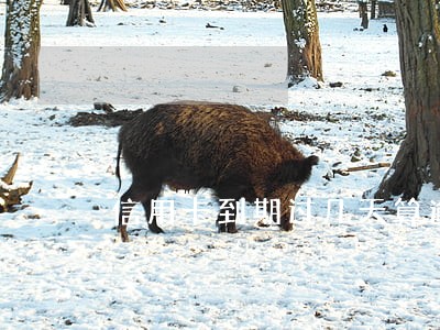 信用卡到期过几天算逾期