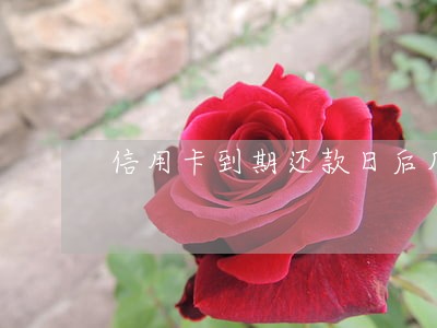 信用卡到期还款日后几天还不逾期
