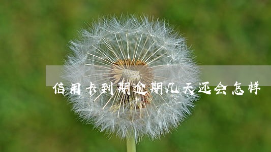 信用卡到期逾期几天还会怎样 信用卡到期逾期几天还会怎样
