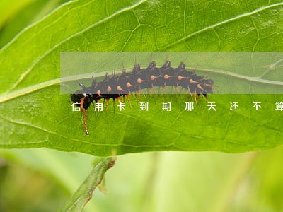 信用卡到期那天还不算逾期吧 信用卡到期那天还不算逾期吧