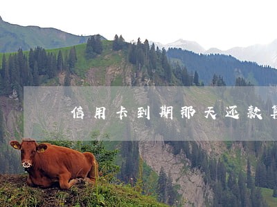 信用卡到期那天还款算不算逾期 信用卡到期那天还款算不算逾期