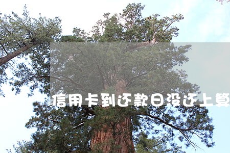 信用卡到还款日没还上算逾期吗 信用卡到还款日没还上算逾期吗
