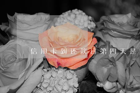 信用卡到还款日第四天是逾期吗 信用卡到还款日第四天是逾期吗