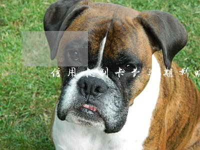 信用卡制卡费逾期影响信用 信用卡制卡费逾期影响信用