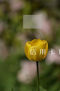 信用卡刷3万还款逾期利息是多少 信用卡刷3万还款逾期利息是多少