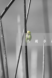 信用卡刷了3万逾期60天