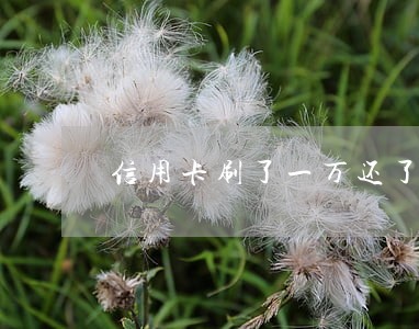 信用卡刷了一万还了九千算逾期吗