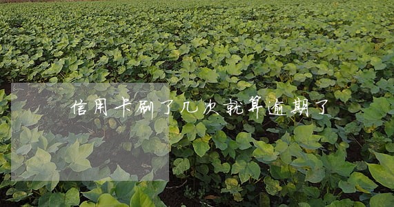 信用卡刷了几次就算逾期了 信用卡刷了几次就算逾期了