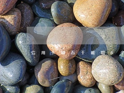 信用卡刷五千逾期6个月 信用卡刷五千逾期6个月