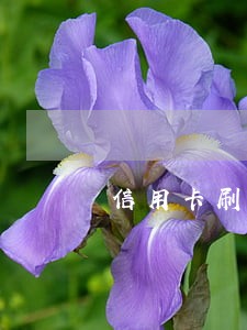 信用卡刷卡后再分期算逾期吗 信用卡刷卡后再分期算逾期吗