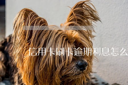 信用卡刷卡逾期利息怎么算利息