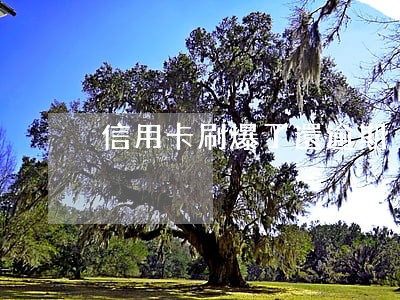 信用卡刷爆了還逾期 信用卡刷爆了還逾期