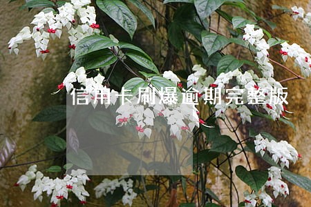 信用卡刷爆逾期完整版