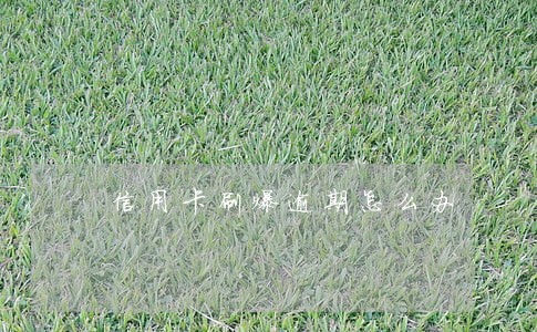 信用卡刷爆逾期怎么办 信用卡刷爆逾期怎么办