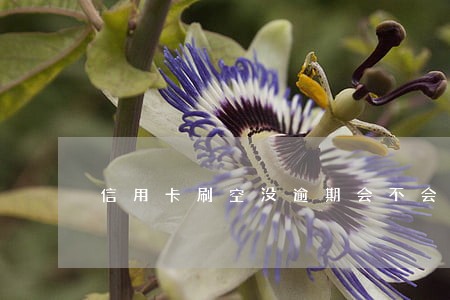 信用卡刷空没逾期会不会停 信用卡刷空没逾期会不会停