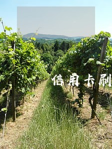 信用卡刷逾期还能用小额贷么