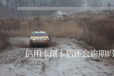 信用卡削卡后还会逾期吗 信用卡削卡后还会逾期吗