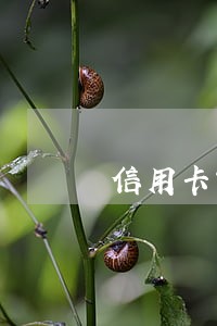 信用卡前手是逾期多久 信用卡前手是逾期多久