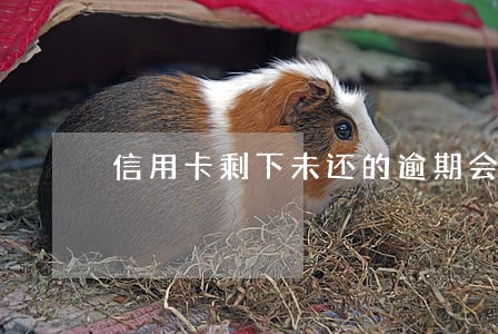 信用卡剩下未还的逾期会怎样 信用卡剩下未还的逾期会怎样