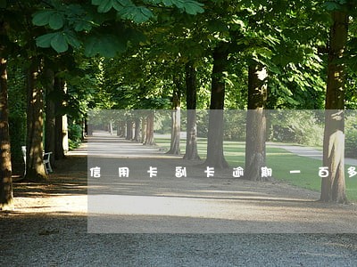 信用卡副卡逾期一百多块