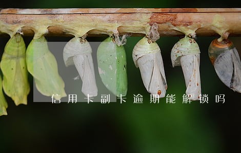 信用卡副卡逾期能解锁吗 信用卡副卡逾期能解锁吗