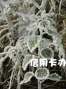 信用卡办了分期逾期了会怎么样