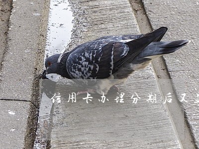 信用卡办理分期后又显示逾期 信用卡办理分期后又显示逾期