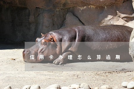 信用卡办理怎么算逾期