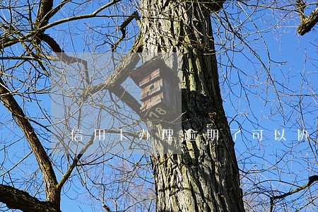 信用卡办理逾期了可以协商吗 信用卡办理逾期了可以协商吗
