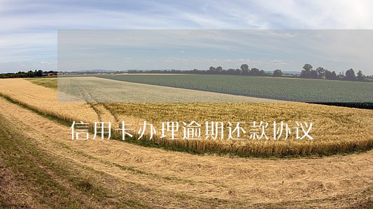 信用卡办理逾期还款协议 信用卡办理逾期还款协议