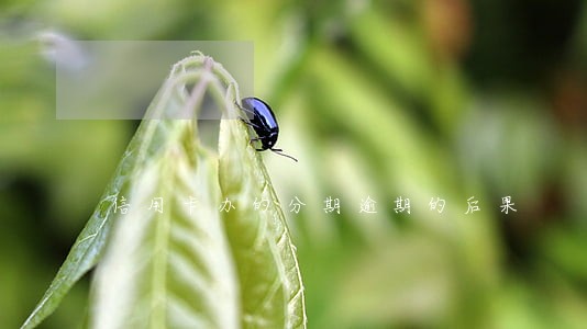 信用卡办的分期逾期的后果 信用卡办的分期逾期的后果