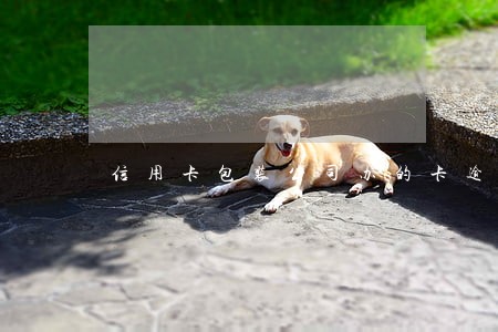 信用卡包装公司办的卡逾期了 信用卡包装公司办的卡逾期了