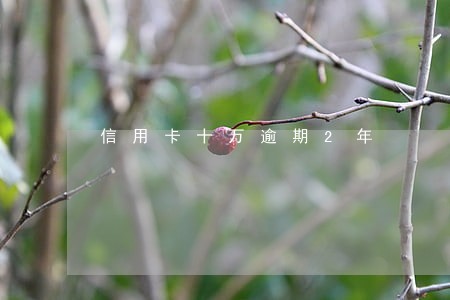 信用卡十万逾期2年 信用卡十万逾期2年