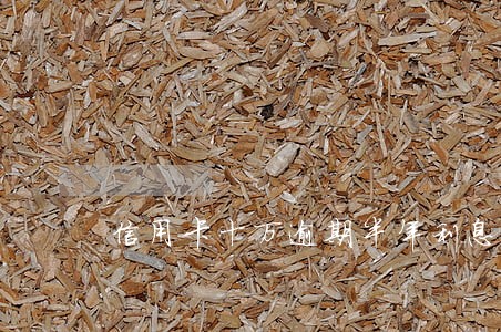 信用卡十万逾期半年利息 信用卡十万逾期半年利息