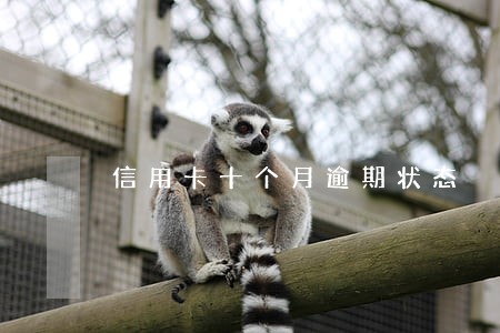 信用卡十个月逾期状态 信用卡十个月逾期状态