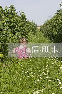 信用卡十几万逾期怎么办 信用卡十几万逾期怎么办