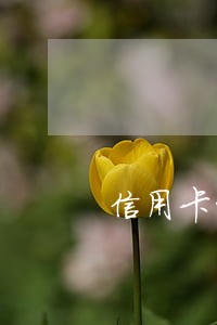 信用卡十几块钱逾期了几个月 信用卡十几块钱逾期了几个月