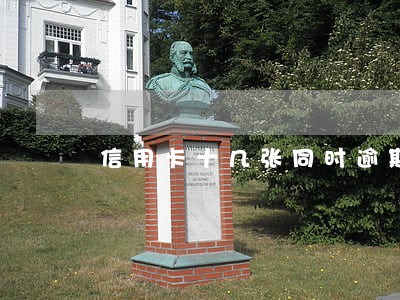 信用卡十几张同时逾期怎么办 信用卡十几张同时逾期怎么办