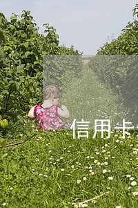 信用卡十几张逾期会坐牢 信用卡十几张逾期会坐牢