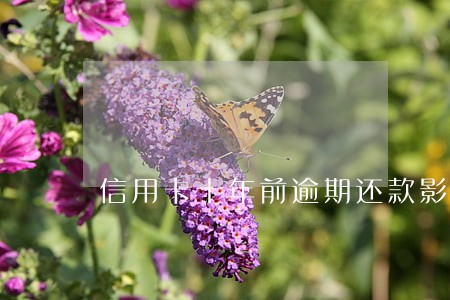 信用卡十年前逾期还款影响征信吗