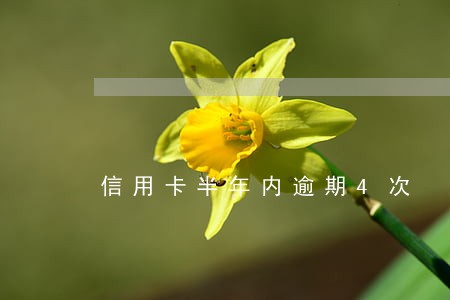 信用卡半年内逾期4次