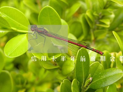 信用卡半年前逾期会影响贷款 信用卡半年前逾期会影响贷款