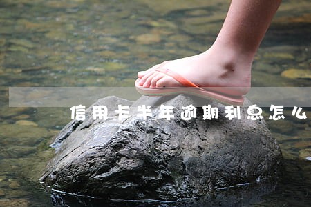 信用卡半年逾期利息怎么算 信用卡半年逾期利息怎么算