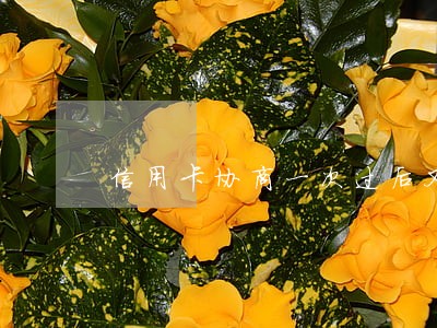 信用卡协商一次过后又逾期了 信用卡协商一次过后又逾期了