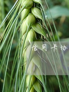 信用卡协商了又逾期了怎么办 信用卡协商了又逾期了怎么办